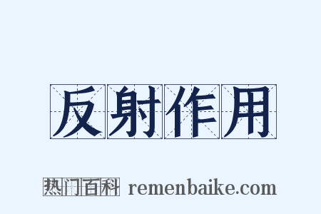 反射作用是什么意思的图片